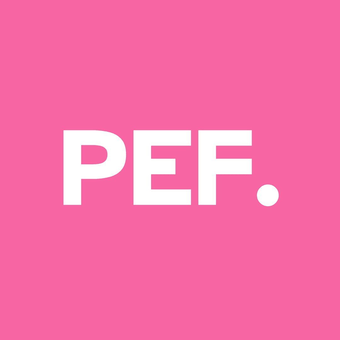PEF — Pôle Emploi Fandi